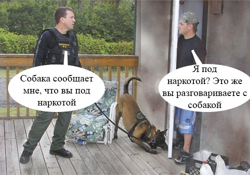 я под наркотой Это же Собака сообщает мне ЧТО ВЫ под наркотой вы разговариваете с собакой