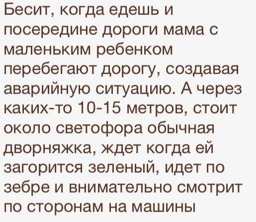 Бесит когда едешь и посередине дороги мама с маленьким ребенком перебегают дорогу создавая аварийную ситуацию А через каких то 10 15 метров стоит около светофора обычная дворняжка ждет когда ей загорится зеленый идет по зебре и внимательно смотрит по сторонам на машины