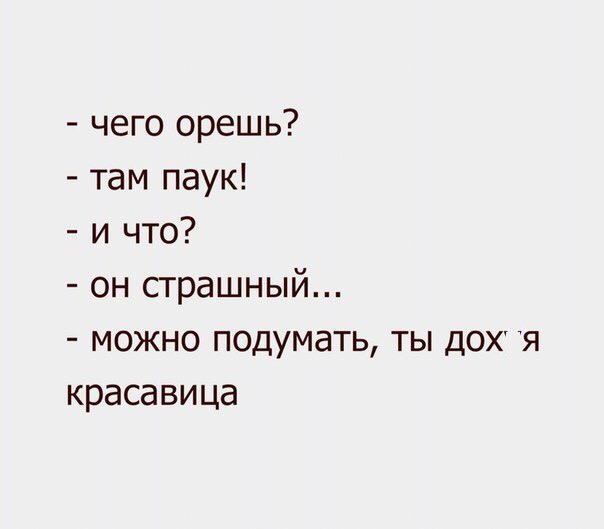 чего орешь там паук и что он страшный можно подумать ты дох я красавица