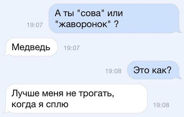 Аты сова или жаворонок Медведь Это как Лучше меня не трогать когда я сплю