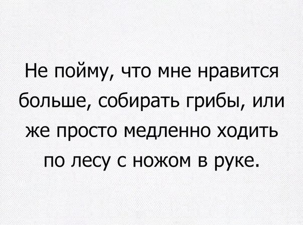 Не пойму что мне нравится больше собирать грибы или же просто медленно ходить по лесу с ножом в руке
