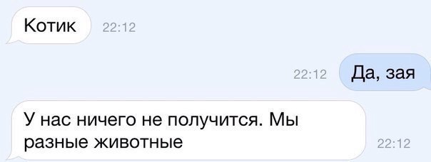 Котик Да зая У нас ничего не получится Мы разные животные