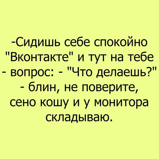 Сидишь себе спокойно Вконтакте и тут на тебе вопрос Что делаешь блин не поверите сено кошу и у монитора складываю