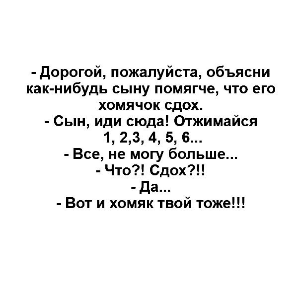 дорогой пожалуйста объясни как нибудь сыну помягче что его хомячок сдох Сын иди сюда Отжимайся 1 23 4 5 6 Все не могу больше Что Сдох да Вот и хомяк твой тоже