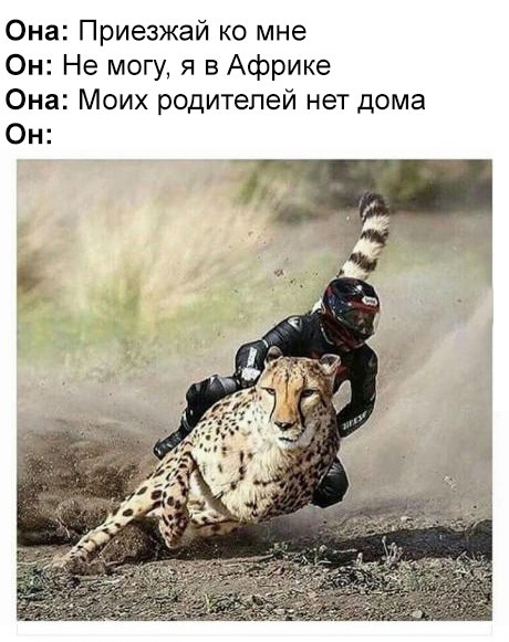 Она Приезжай ко мне Он Не могу я в Африке Она Моих родителей нет дома Он