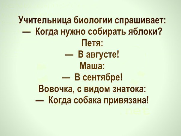 Учительница биологии спрашивает Когда нужно собирать яблоки Петя В августе Маша В сентябре Вовочка с видом знатока Когда собака привязана