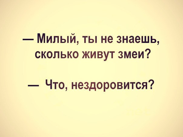 Милый ты не знаешь сколько живут змеи Что нездоровится