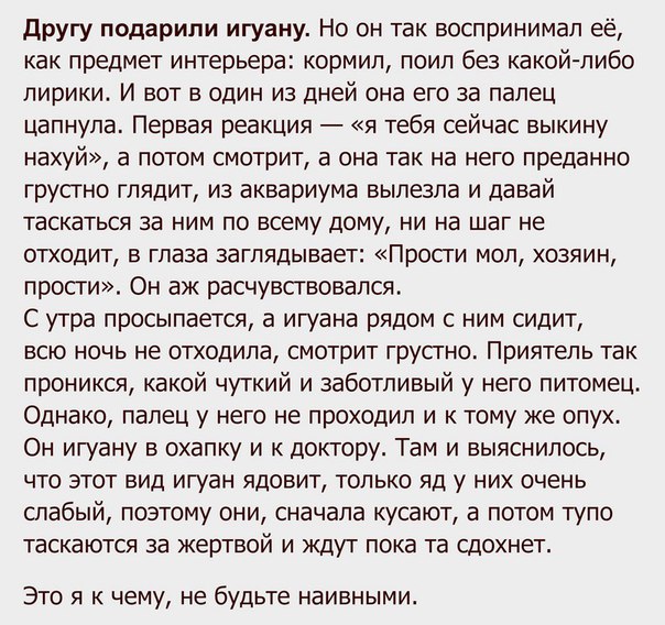Другу подарили игуану Но он так воспринимал её как предмет интерьера кормил поил без какой либо лирики И вот в один из дней она его за палец цапнула Первая реакция я тебя сейчас выкину нахуй а потом смотрит а она так на него преданно грустно глядит из аквариума вылезла и давай таскаться за ним по всему дому ни на шаг не отходит в глаза заглядывает Просги моп хозяин прости Он аж расчувствовапся С у