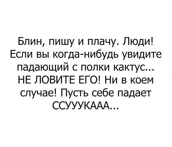 Блин пишу и плачу Люди Если вы когда нибудь увидите падающий с полки кактус НЕ ЛОВИТЕ ЕГО Ни в коем случае Пусть себе падает ССУУУКААА