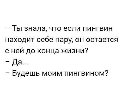Ты знала что если пингвин находит себе пару он остается с ней до конца жизни да Будешь моим пингвином