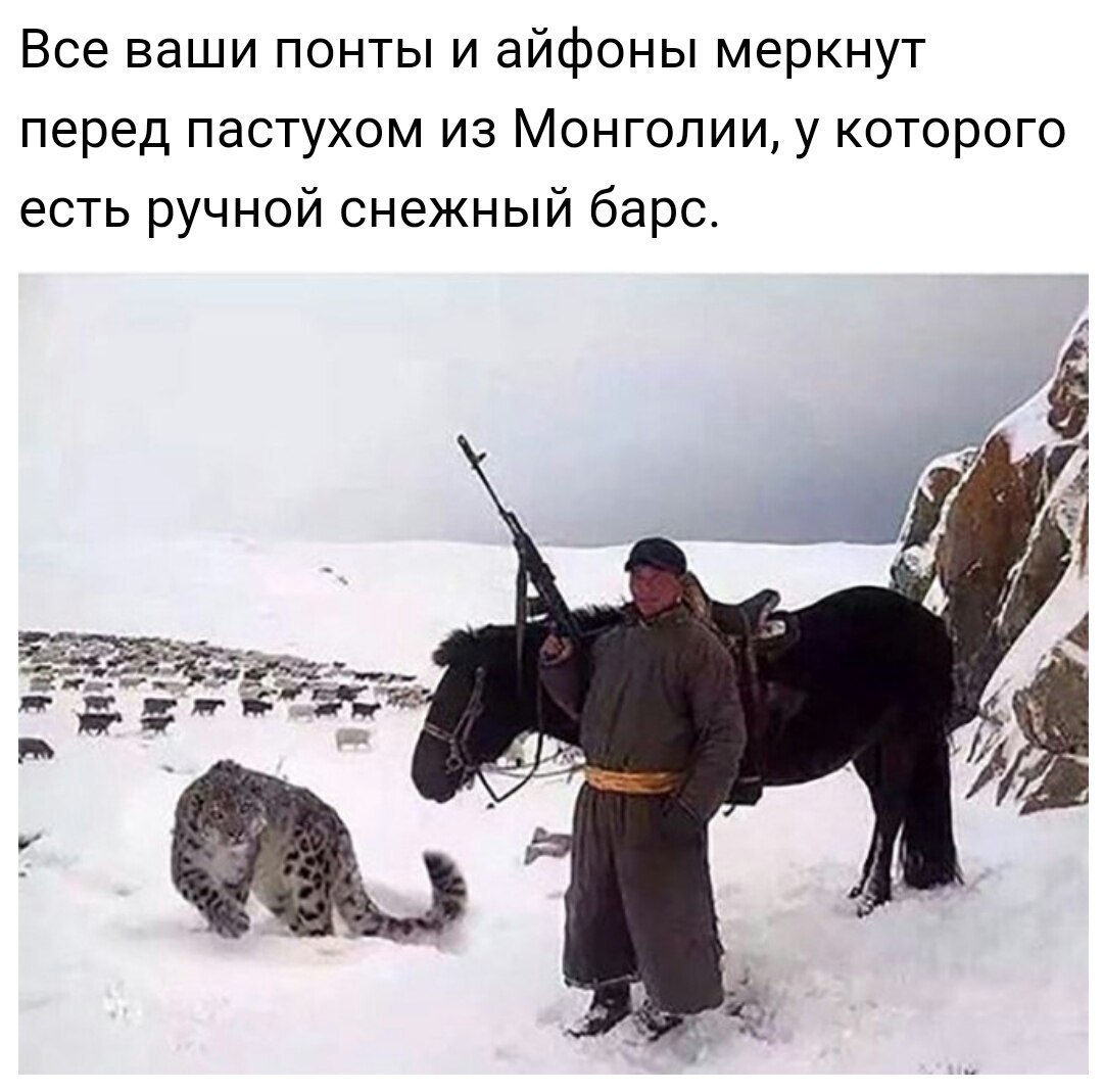 Все ваши понты и айфоны меркнут перед пастухом из Монголии у которого есть ручной снежный барс