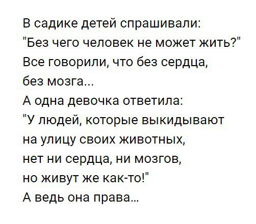 В садике детей спрашивали Без чего человек не может жить Все говорили что без сердца без мозга А одна девочка ответила У людей которые выкидывают на улицу своих животных нет ни сердца ни мозгов но живут же как то А ведь она права