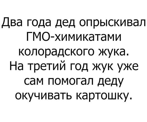 Два года дед опрыскивал ГМО химикатами колорадского жука На третий год жук уже сам помогал деду окучивать картошку