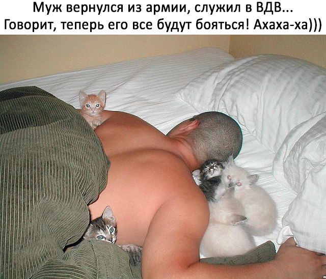 Муж вернулся из армии служил в ВДВ Говорит теперь его все будут бояться Ахаха ха