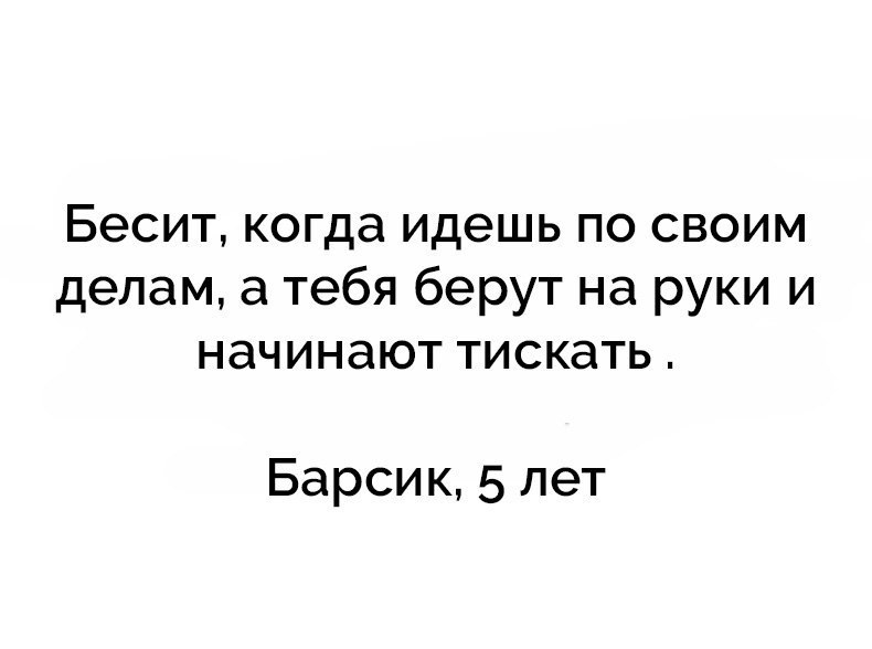 Бесит когда идешь по своим делам а тебя берут на руки и начинают тискать Барсик 5 лет