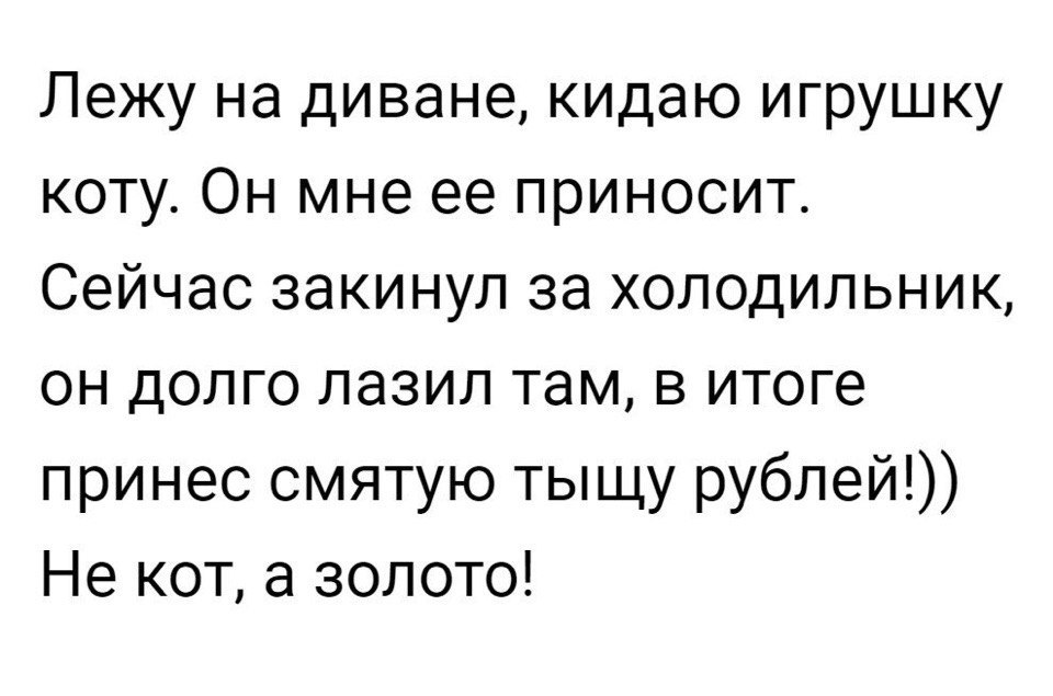 Лежу на диване кидаю игрушку коту Он мне ее приносит Сейчас закинул за холодильник он долго лазил там в итоге принес смятую тыщу рублей Не кот а золото