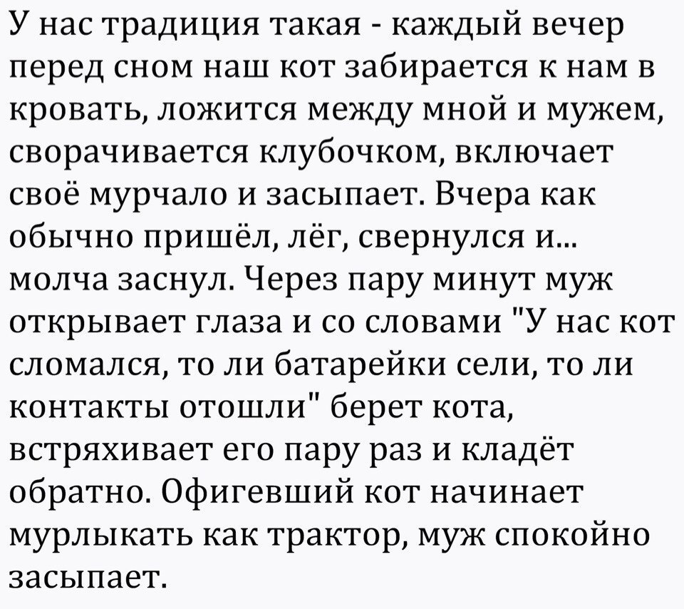 У нас традиция такая каждый вечер перед сном наш кот забирается к нам в кровать ложится между мной и мужем сворачивается клубочком включает своё мурчало и засыпает Вчера как обычно пришёл лёг свернулся и молча заснул Через пару минут муж открывает глаза и со словами У нас кот сломался то ли батарейки сели то ли контакты отошли берет кота встряхивает его пару раз и кладёт обратно Офигевший кот начи
