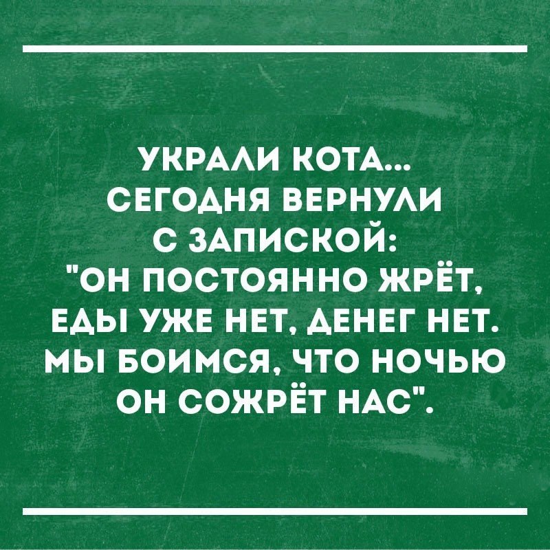 УКРААИ КОТА свгодня вврнум с 3Апиской он постоянно жрёт ЕАЫ ужв нвт АЕНЕГ нвт мы воимся что ночью он сожрЁт НАС