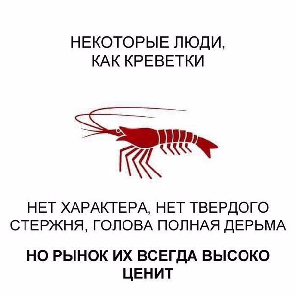 НЕКОТОРЫЕ ЛЮДИ КАК КРЕВЕТКИ НЕТ ХАРАКТЕРА НЕТ ТВЕРДОГО СТЕРЖНЯ ГОЛОВА ПОЛНАЯ ДЕРЬМА НО РЫНОК ИХ ВСЕГДА ВЫСОКО ЦЕНИТ