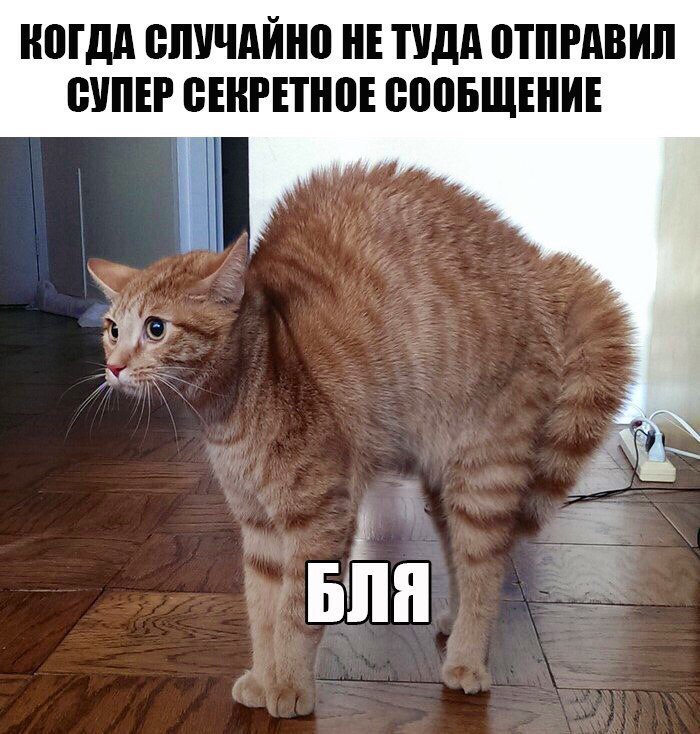 МДА ВЛУЧАЙНП НЕ ТУДА ПТПРАВИЛ ШШЕР ВЕНРЕТНПЕ ВППБЩШИЕ