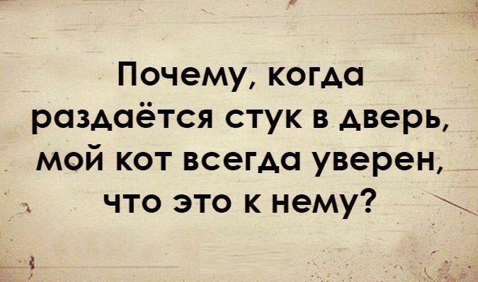 Почему когда раздаётся стук в дверь мой кот всегда уверен что это к нему