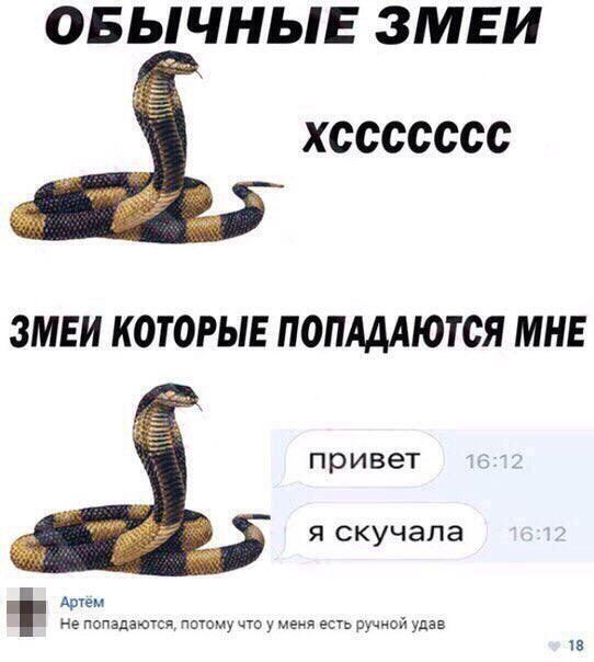 ОБЬЛЧНЬЛЕ ЗМЕИ ХССССССС ЗМЕИ КОТОРЫЕ ПОПАДАЮТСЯ МНЕ привет Я СКУЧЭПЭ в