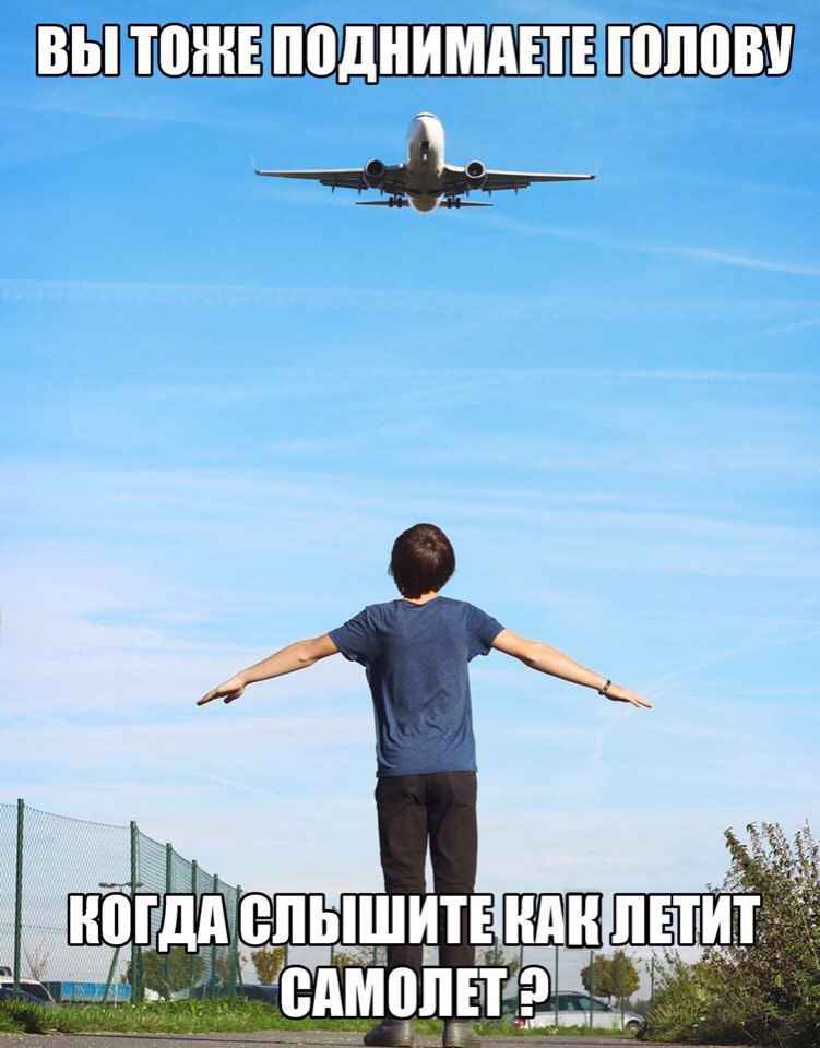 т