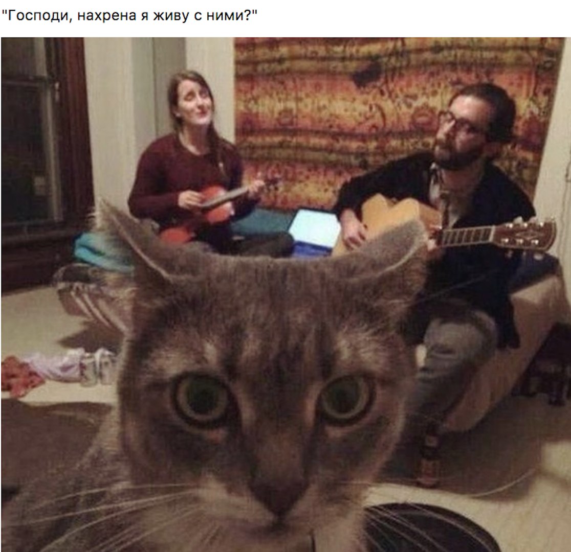 Господи нахрена я живу с ними