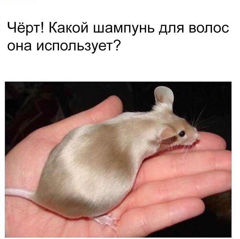 Чёрт Какой шампунь для волос она использует