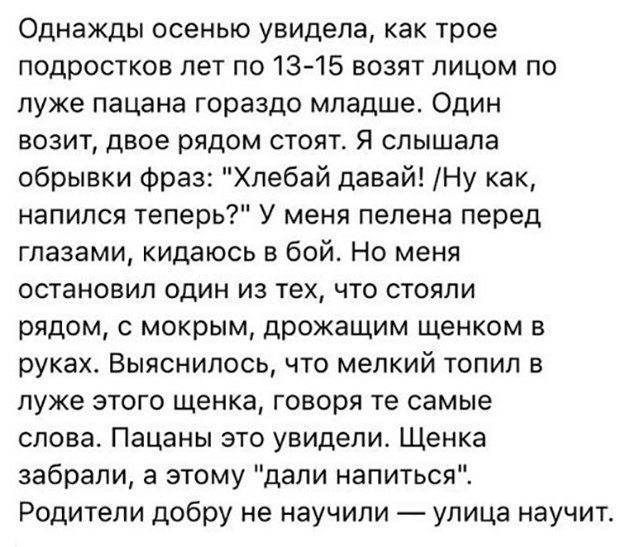 Однажды осенью увидела как трое подростков лет по 1315 возят лицом по луже пацана гораздо младше Один возит двое рядом стоят Я слышала обрывки фраз Хлебай давай Ну как напился теперь У меня пелена перед глазами кидаюсь в бой Но меня остановил один из тех что стояли рядом мокрым дрожащим щенком в руках Выяснилось что мелкий топил в луже этого щенка говоря те самые слова Пацаны это увидели Щенка заб