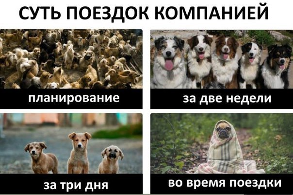 СУТЬ ПОЕЗДОК КОМПАНИЕЙ за три дня ВО время поездки