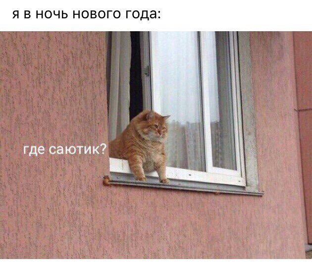 Я В НОЧЬ НОВОГО года где саютик
