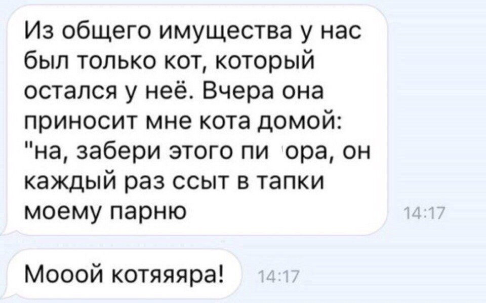 Из общего имущества у нас был только кот который остался у неё Вчера она приносит мне кота домой на забери этого пи ора он каждый раз ссыт в тапки моему парню Мооой котяяяра