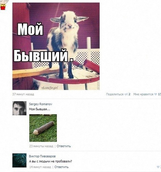 Бишоф Пшеница А высшими проБшпи