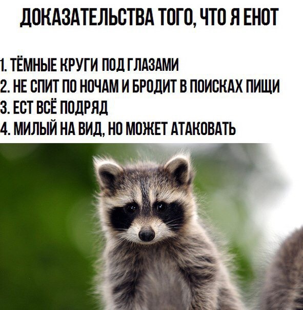 дОНАЗАТЕЛЬОТВА ТОГО ЧТО Я ЕНОТ 1 ТЁМНЫЕ КРУГИ ПОД ГЛАЗАМИ 2 НЕ ОПИТ ПО НОЧАМ И БРОДИТ В ПОИОНАХ ПИЩИ 3 ЕОТ ВОЁ ПОДРЯД 4 МИЛЫЙ НА ВИД НО МОЖЕТ АТАКОВАТЬ