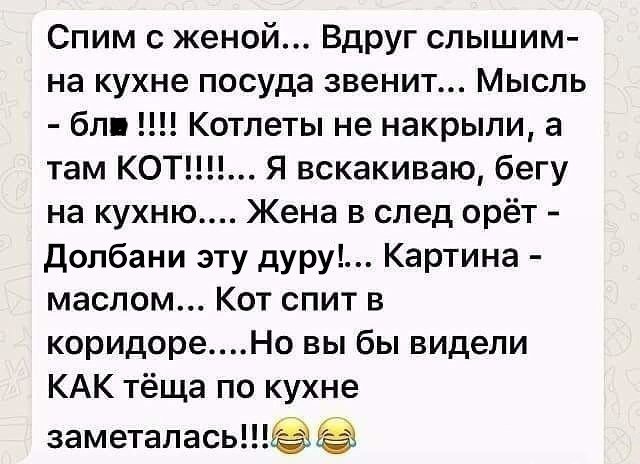 Спим с женой Вдруг слышим на кухне посуда звенит Мысль бл Котлеты не накрыли а там КОТ Я вскакиваю бегу на кухню Жена в след орёт долбани эту дуру Картина маслом Кот спит в коридореНо вы бы видели КАК тёща по кухне заметалась