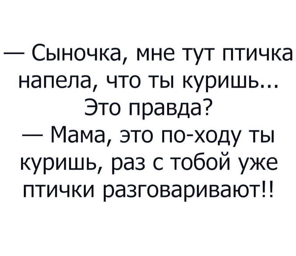 Правда мама. Мне тут птичка напела. Сынок мне тут птичка донесла что ты куришь. Птичка напела выражение. Анекдоты про 