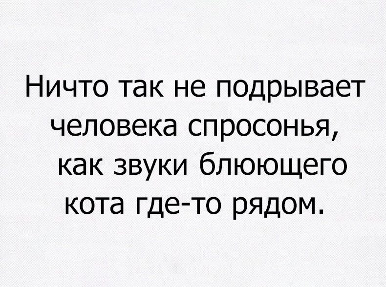 Ничто так не подрывает человека спросонья как звуки блюющего кота где то рядом