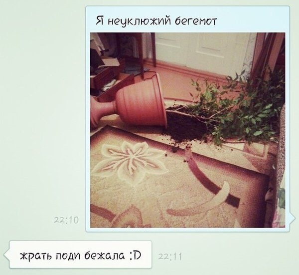 Я нечклюжий бегемот жрать поди бежала В