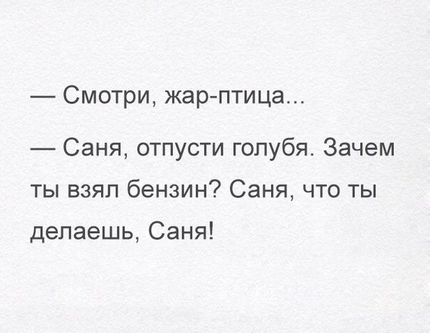 СМОТрИ жар птица Саня отпусти голубя Зачем ты взял бензин Саня что ты делаешь Саня