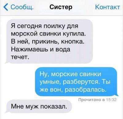 Сообщ Систер Конткт Я сегодня поилку для морской свинки купила В ней прикинь кнопка Нажимаешь и вода течет Ну морские свинки умные разберутся Ты же вон разобралась Прочитано п 5 3 Мне муж показал