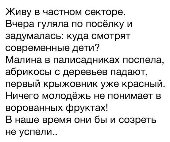 Живу в частном секторе Вчера гуляла по посёлку и задумалась куда смотрят современные дети Малина в паписадниках поспела абрикосы с деревьев падают первый крыжовник уже красный Ничего молодёжь не понимает в ворованных фруктах В наше время они бы и созреть не успели