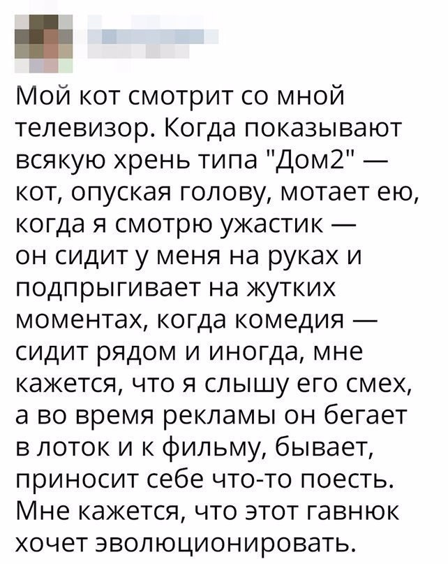 Мой кот смотрит со мной телевизор Когда показывают всякую хрень типа Дом2 кот опуская голову мотает ею когда я смотрю ужастик он сидит у меня на руках и подпрыгивает на жутких моментах когда комедия сидит рядом и иногда мне кажется что я слышу его смех а во время рекламы он бегает в поток и к фильму бывает приносит себе что то поесть Мне кажется что этот гавнюк хочет эволюционировать