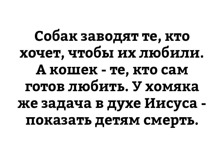 Собак заводят те кто хочет чтобы их любили А кошек те кто сам готов любить У хомяка же задача в духе Иисуса показать детям смерть