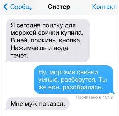 Сообщ Систер Контэн Я сегодня поилку для морской свинки купила В ней прикинь кнопка Нажимаешь и вода Течет Ну морские свинки умные разберутся Ты же вон разобралась прочитана 515 32 Мне муж показал