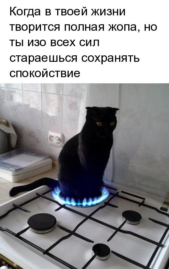 Когда в твоей жизни творится полная жопа но ты изо всех сил стараешься сохранять спокойствие