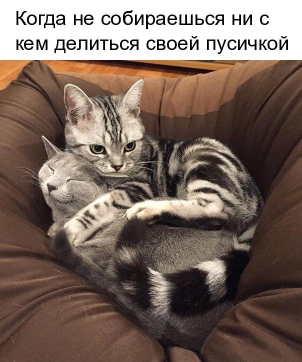Когда не собираешься НИ С кем делиться своей пусичкой