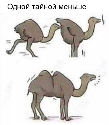Одной тайной меньше