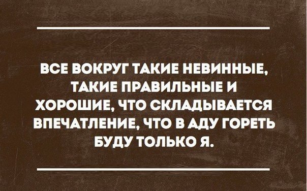 Заходишь в комнату на кровати лежат 2 собаки