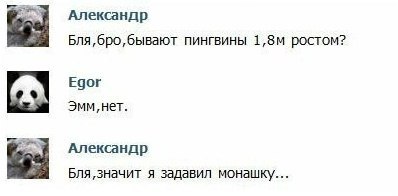 Александр Бпя6ро6ывают пингвины 1БМ ростом Едог зимми Александр впмючит я задавил монашку